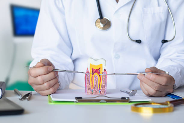 Best Emergency Dental Services for Seniors in West University Place, TX